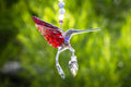 Red and Light Purple Hummingbird with Keepsake Vial
