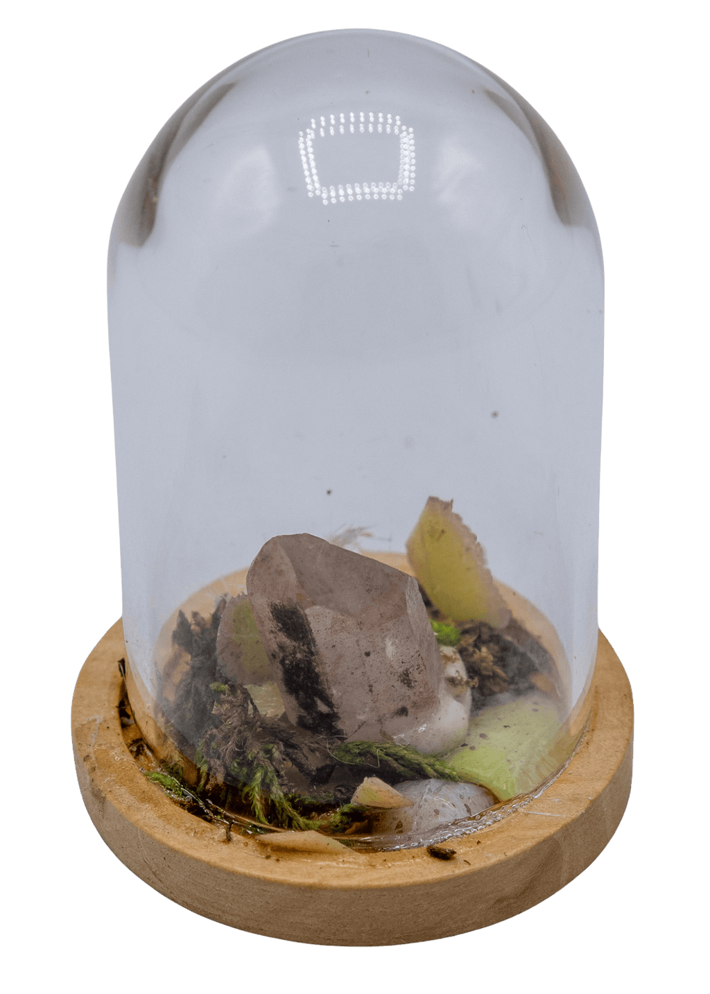 Hematoid Crystal Terrarium in Glass Dome | Crystals | Wiccan Center