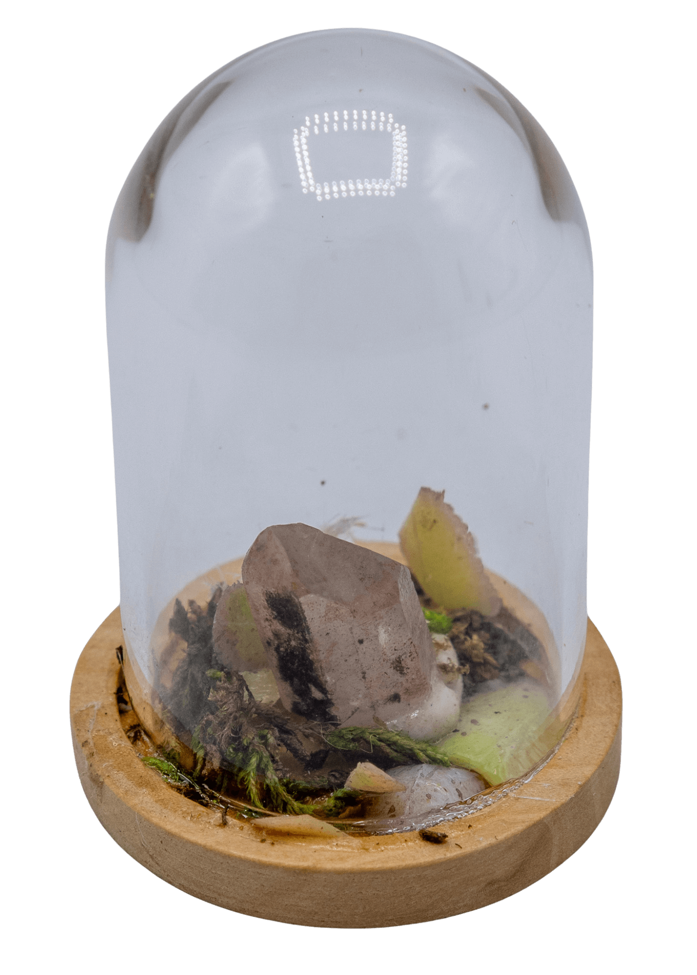 Hematoid Crystal Terrarium in Glass Dome | Crystals | Wiccan Center
