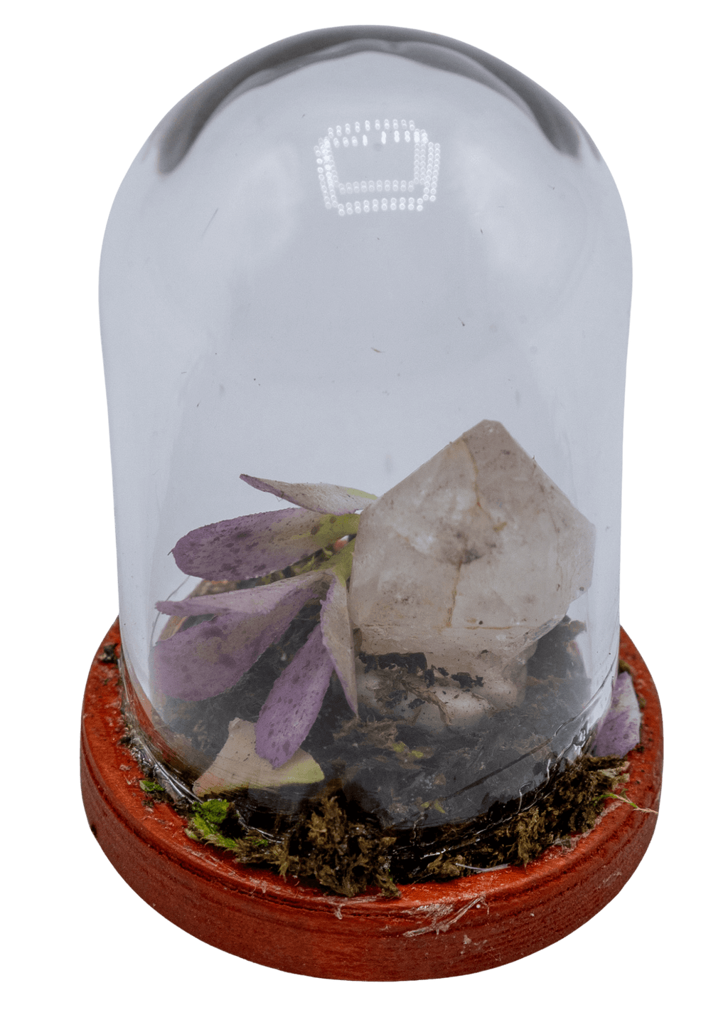 Hematoid Crystal Terrarium in Glass Dome | Crystals | Wiccan Center