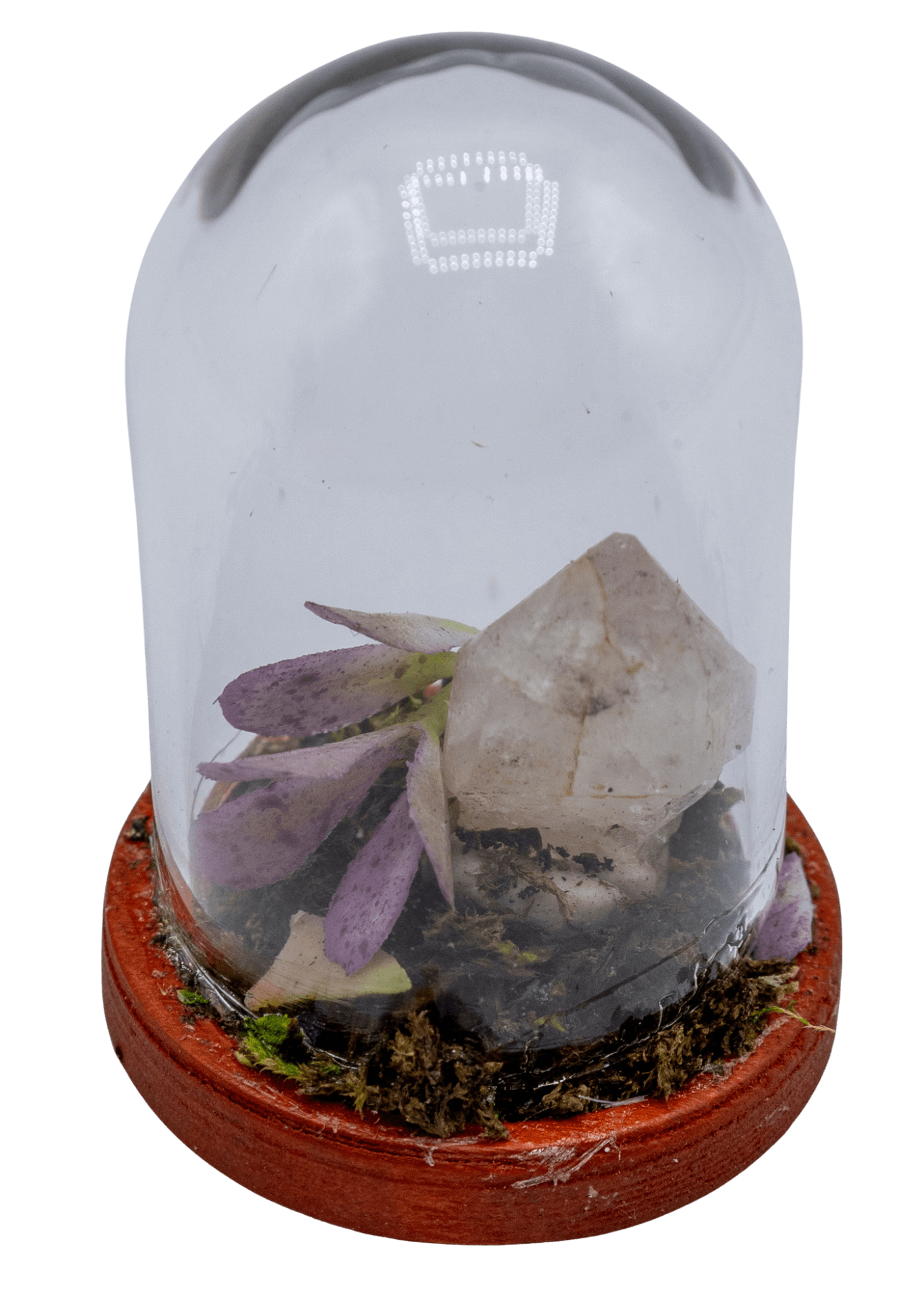 Hematoid Crystal Terrarium in Glass Dome | Crystals | Wiccan Center