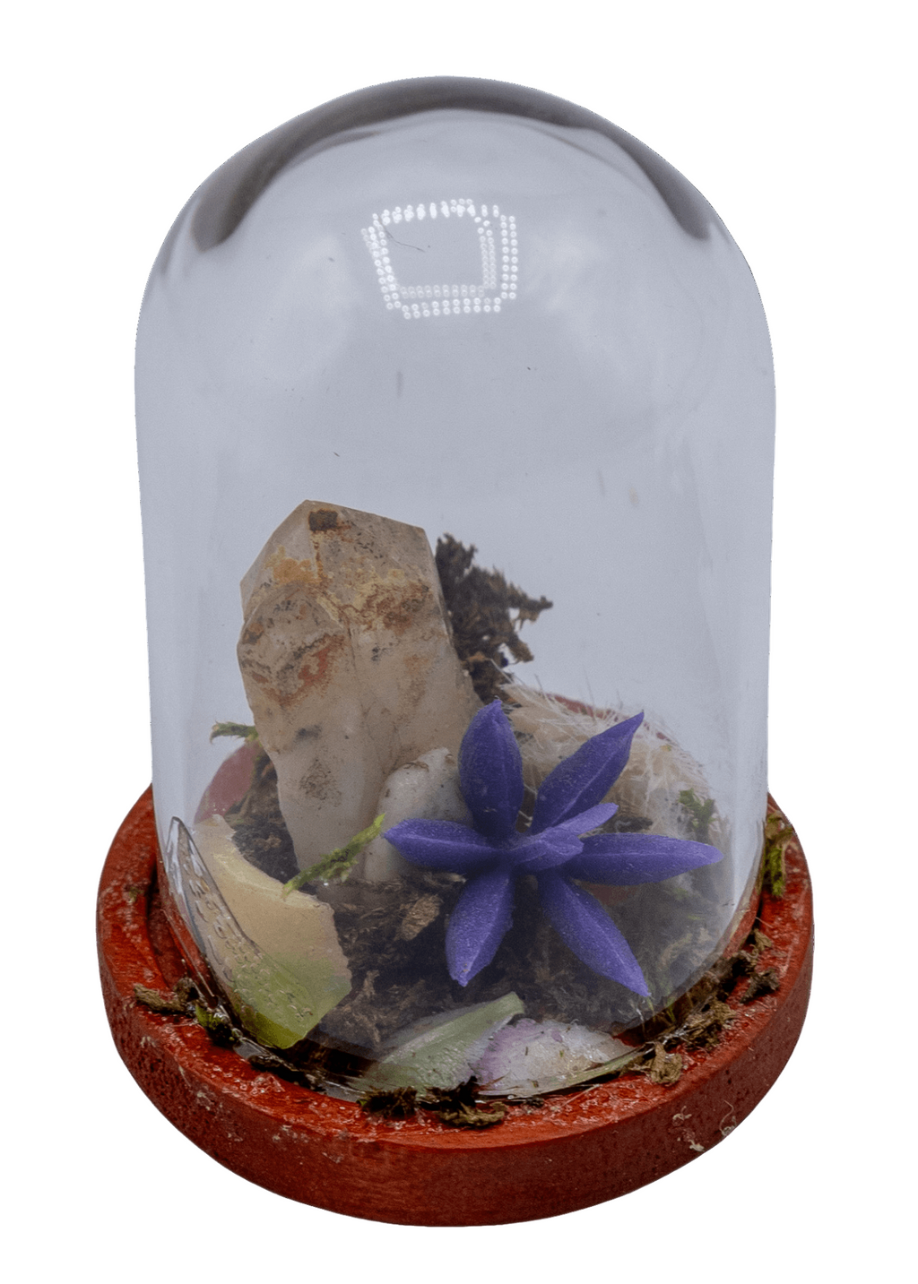 Hematoid Crystal Terrarium in Glass Dome | Crystals | Wiccan Center