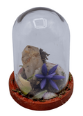 Hematoid Crystal Terrarium in Glass Dome | Crystals | Wiccan Center