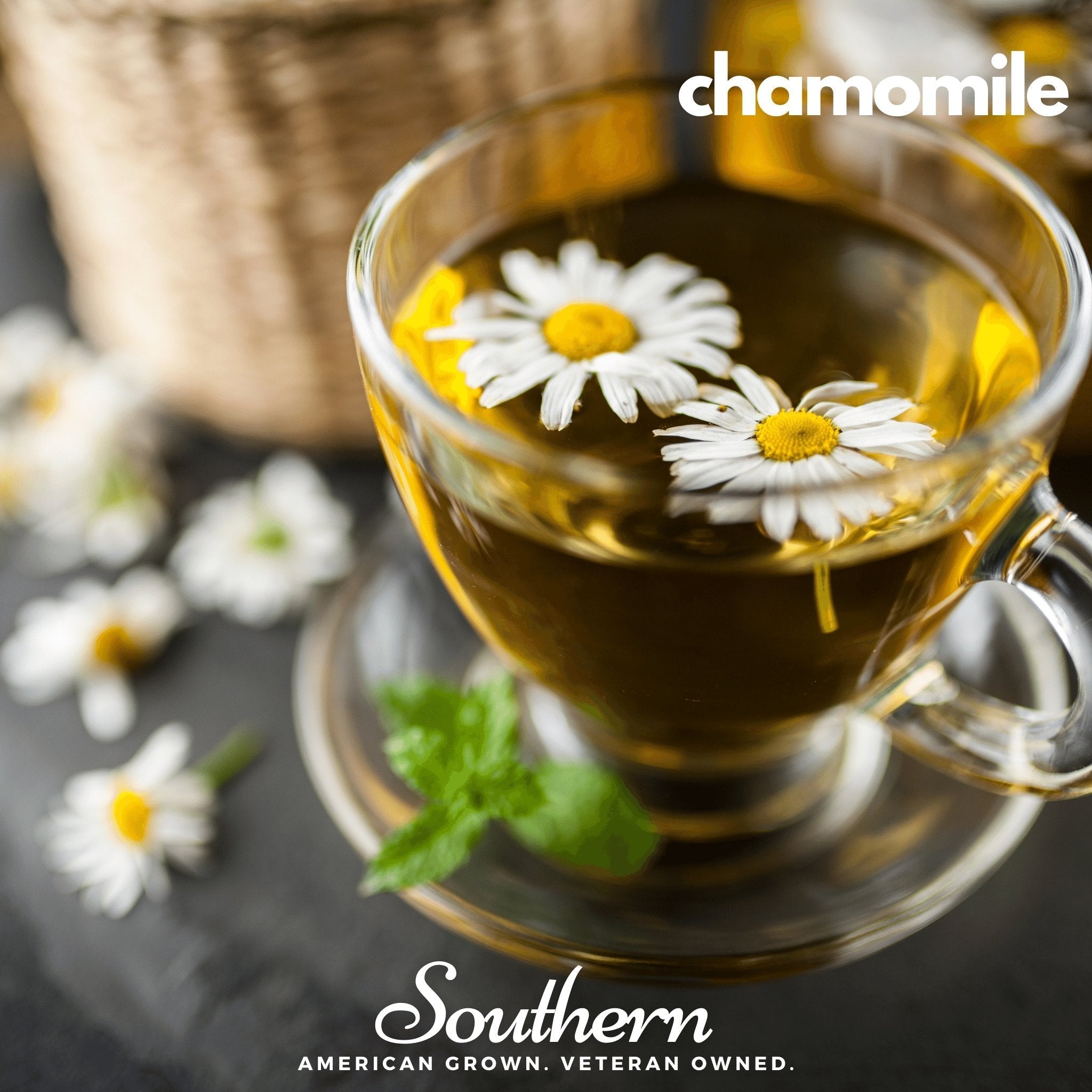 Herbal Tea Seed Collection – 6 Varieties | | Wiccan Center