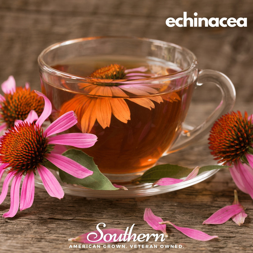 Herbal Tea Seed Collection – 6 Varieties | | Wiccan Center