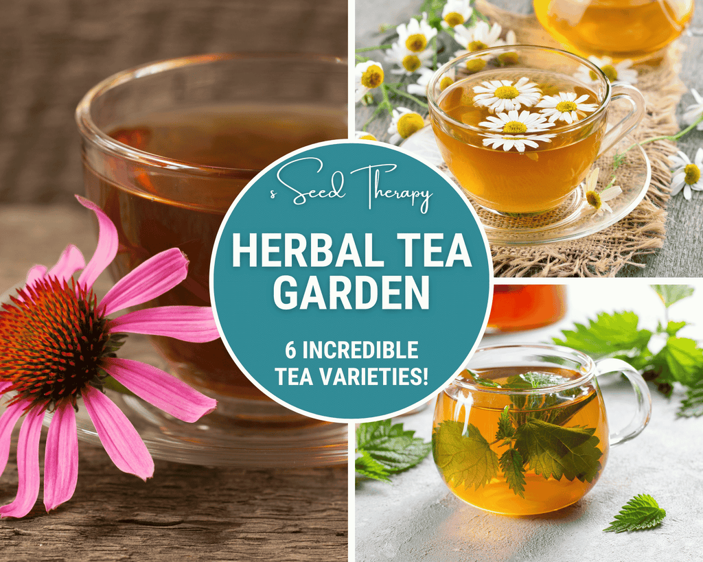 Herbal Tea Seed Collection – 6 Varieties | | Wiccan Center