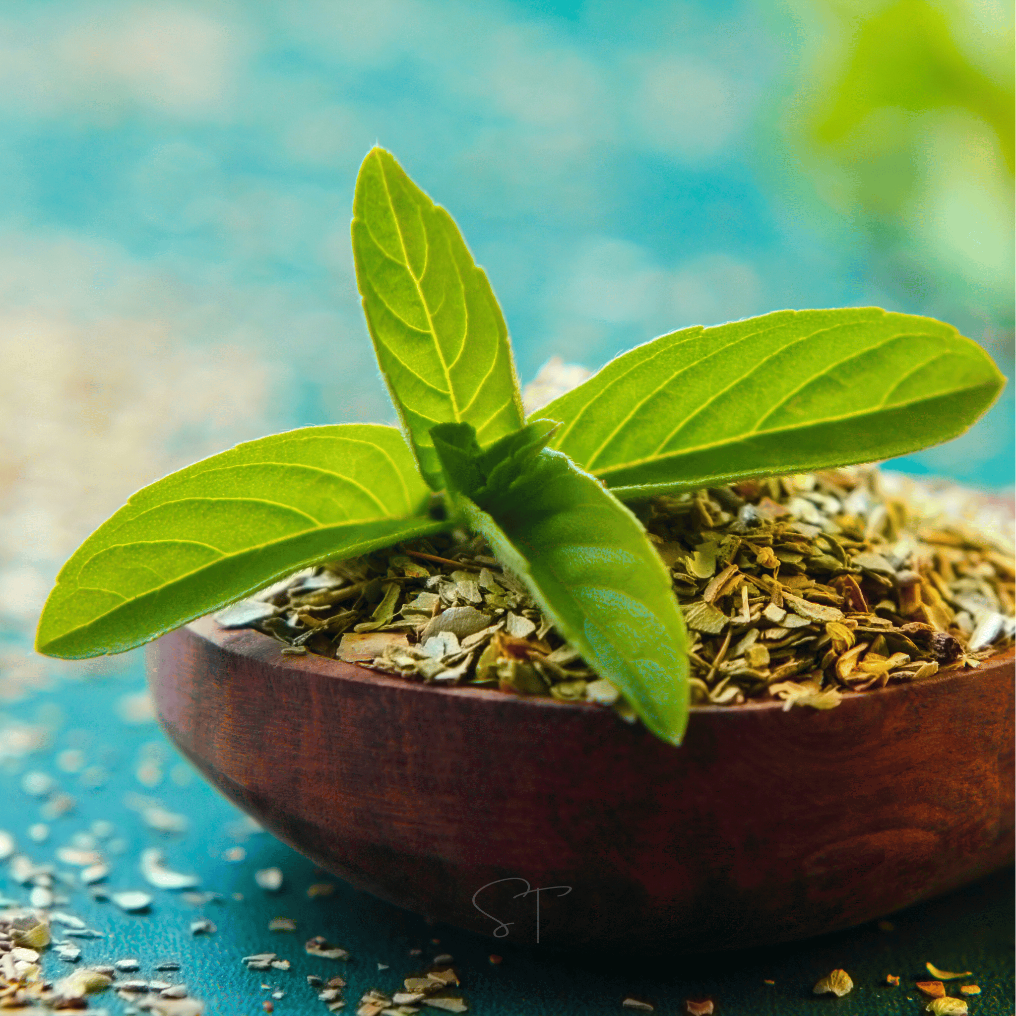 Holy Tulsi Basil – 250 Seeds | Seeds | Wiccan Center