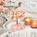 Home Sweet Home - Feng Shui Rose Quartz Tree | Crystal Tree | Wiccan Center