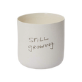 Honesty Pot White