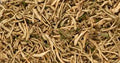 Honeysuckle Flower (1 oz) | Herbs | Wiccan Center