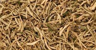 Honeysuckle Flower (1 oz) | Herbs | Wiccan Center