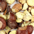 Herb Garden - Horse Chestnut (Whole / Cracked) 1oz | Herbs | Wiccan Center