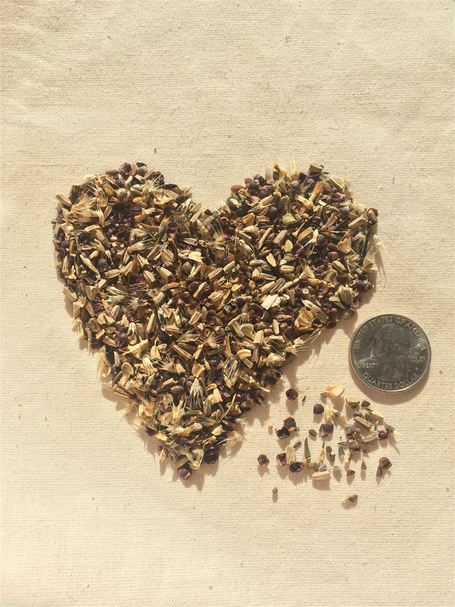 Midwest Native Wildflower Mix | | Wiccan Center