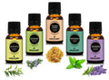 Earth N Pure Essential Oils (Eucalyptus, Rosemary, Lavender, Frankincense & Peppermint) Combo | Earth N Pure | Wiccan Center