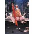 Dandi Swami: The Story of the Guru's Will, Maharishi Mahesh Yogi, the Shankaracharyas of Jyotir Math, & Meetings with Dandi Swami N - Paperback | Books | Wiccan Center