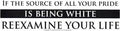 If The Source of Your Pride - Bumper Sticker | Bumper Stickers | Wiccan Center