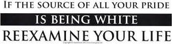 If The Source of Your Pride - Bumper Sticker | Bumper Stickers | Wiccan Center