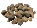 Ikin 3 Eyes (Palm Oil Seed) 7pk | Ritual | Wiccan Center