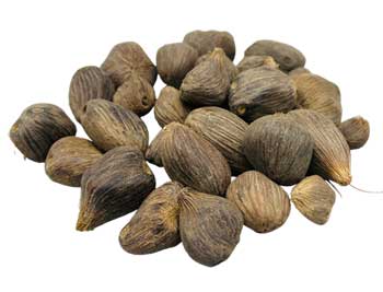 Ikin 3 Eyes (Palm Oil Seed) 7pk | Ritual | Wiccan Center