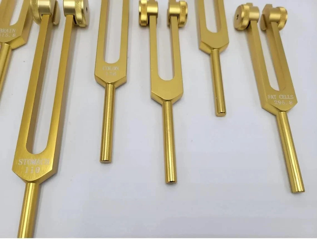 15-Piece Human Biology Set weighted Gold Color Tuning Forks