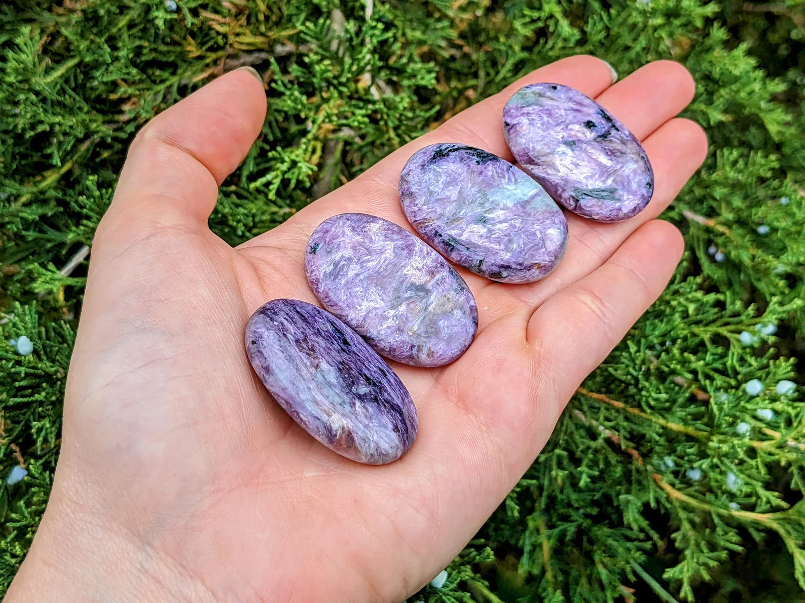 Charoite Palm Stones | | Wiccan Center