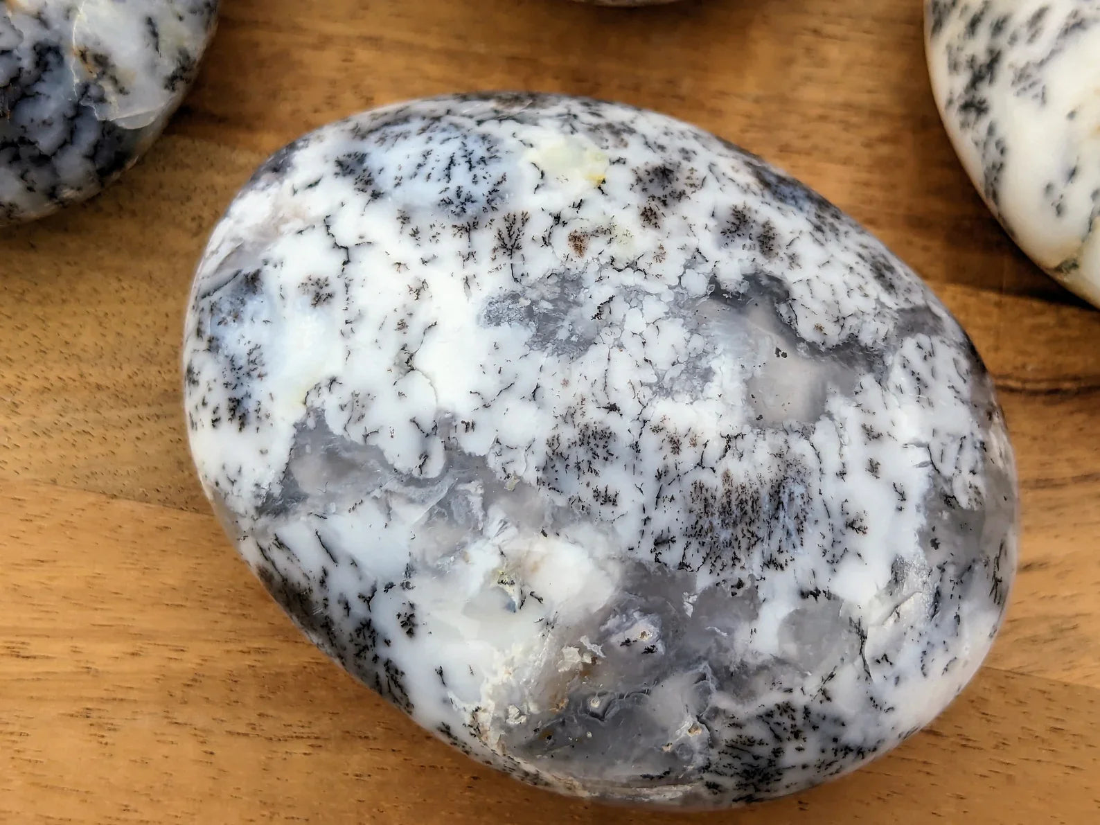 Dendritic Opal Palm Stones | | Wiccan Center