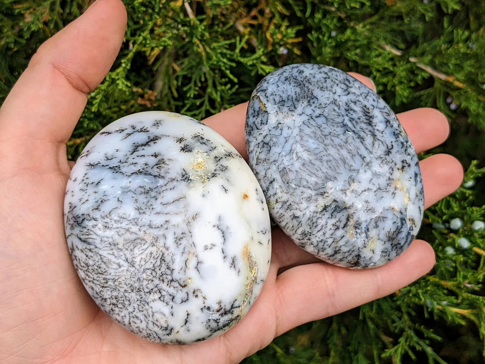 Dendritic Opal Palm Stones | | Wiccan Center