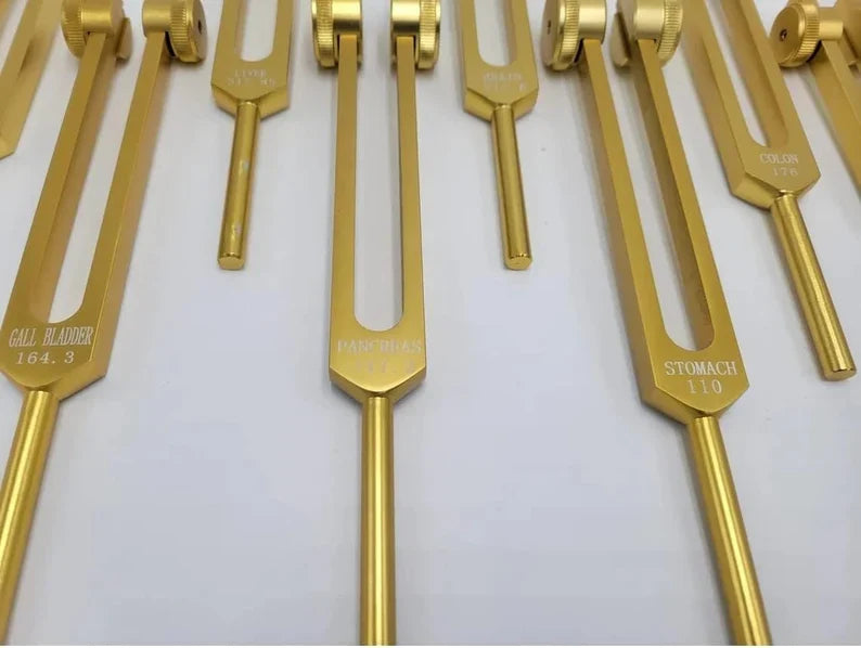 15-Piece Human Biology Set weighted Gold Color Tuning Forks for Vibrational Healing and Sound Therapy with Carry Bag and Striker