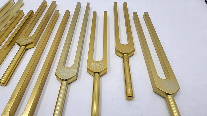 15-Piece Human Biology Set Unweighted Gold Color Tuning Forks for Vibrational Healing and Sound Therapy with Carry Bag and Striker