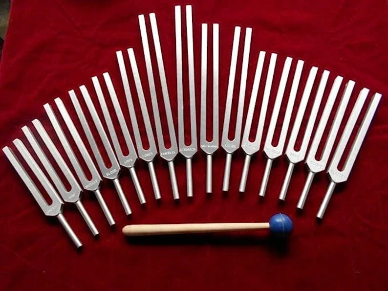 15-Piece Human Biology Set Unweighted Gold Color Tuning Forks for Vibrational Healing and Sound Therapy with Carry Bag and Striker