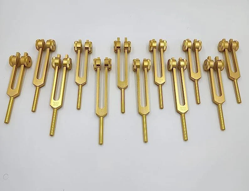 12pc Song of the Spine weighted Tuning Fork Set - Professionally Tuned to .25 Hz for Bio-field Balance and Cellular Harmony