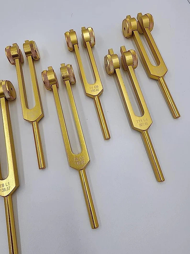 12pc Song of the Spine weighted Tuning Fork Set - Professionally Tuned to .25 Hz for Bio-field Balance and Cellular Harmony
