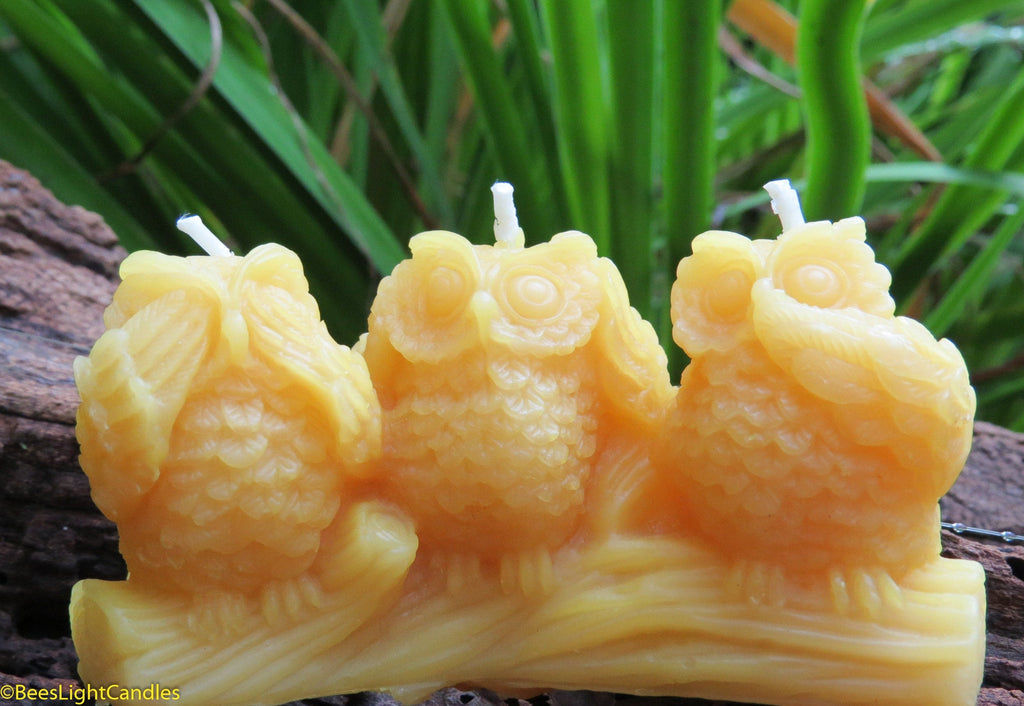 Three Wise Owls Beeswax Candles | Candles | Wiccan Center
