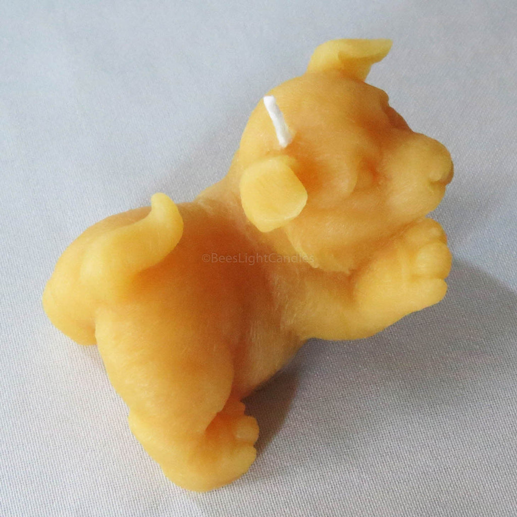 Puppy Dog Giving Paw Beeswax Candle | Candles | Wiccan Center