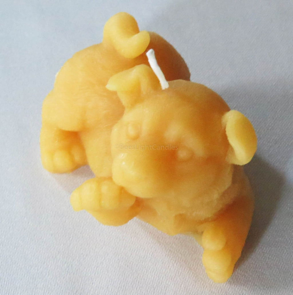 Puppy Dog Giving Paw Beeswax Candle | Candles | Wiccan Center