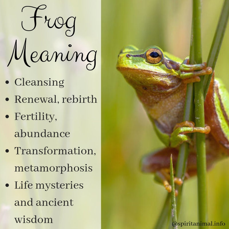 Shayla Frog Post Earrings | Post Earrings | Wiccan Center