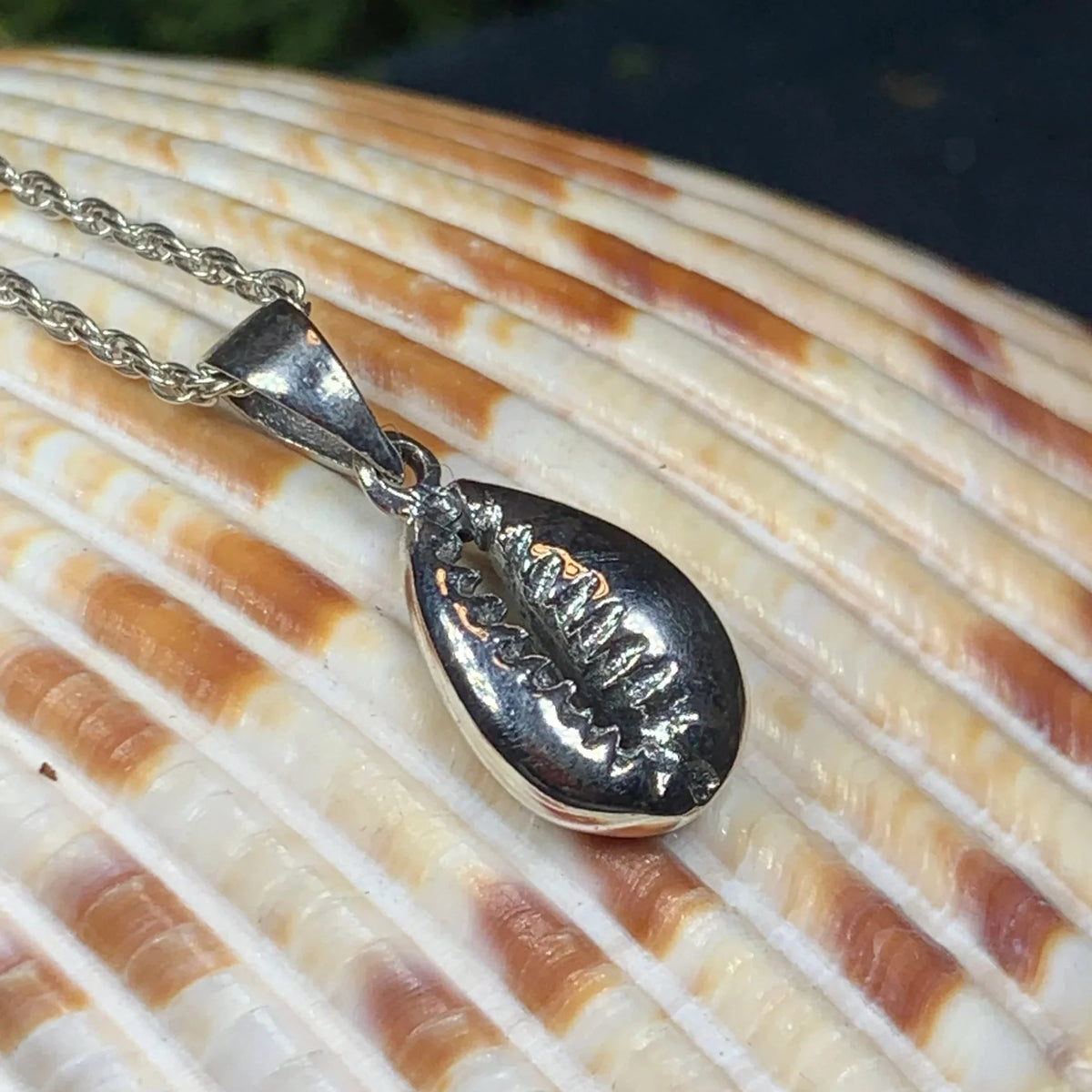Cowry Shell Necklace | Pendant | Wiccan Center