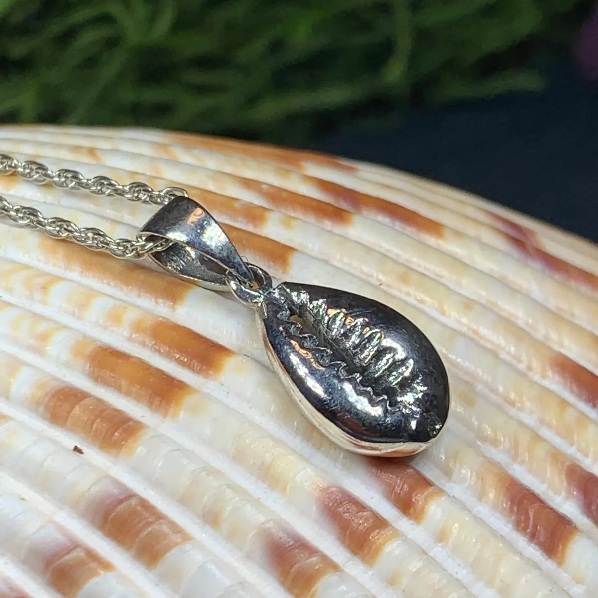 Cowry Shell Necklace | Pendant | Wiccan Center