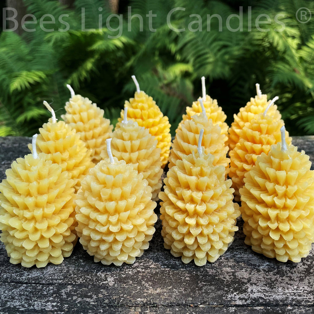 One Dozen Pinecone Beeswax Candles | Candles | Wiccan Center