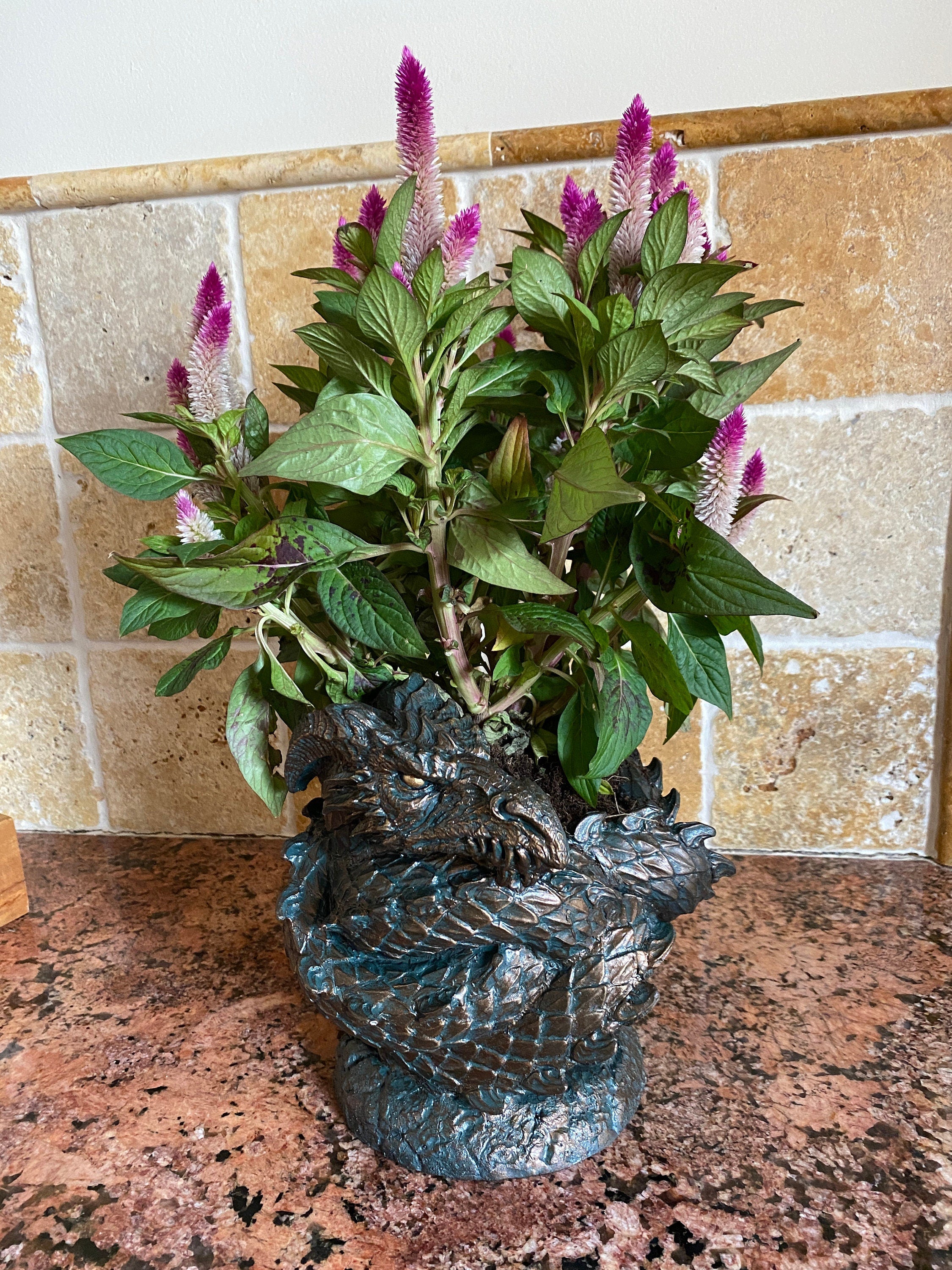 Coiled Dragon Planter, Large Version