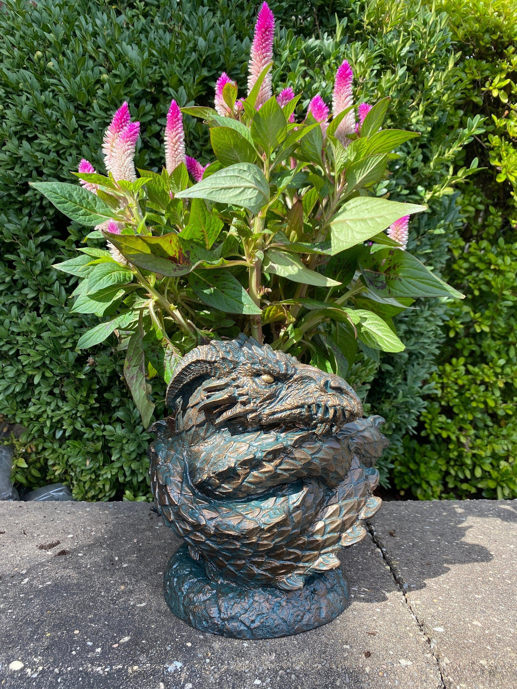 Coiled Dragon Planter, Large Version