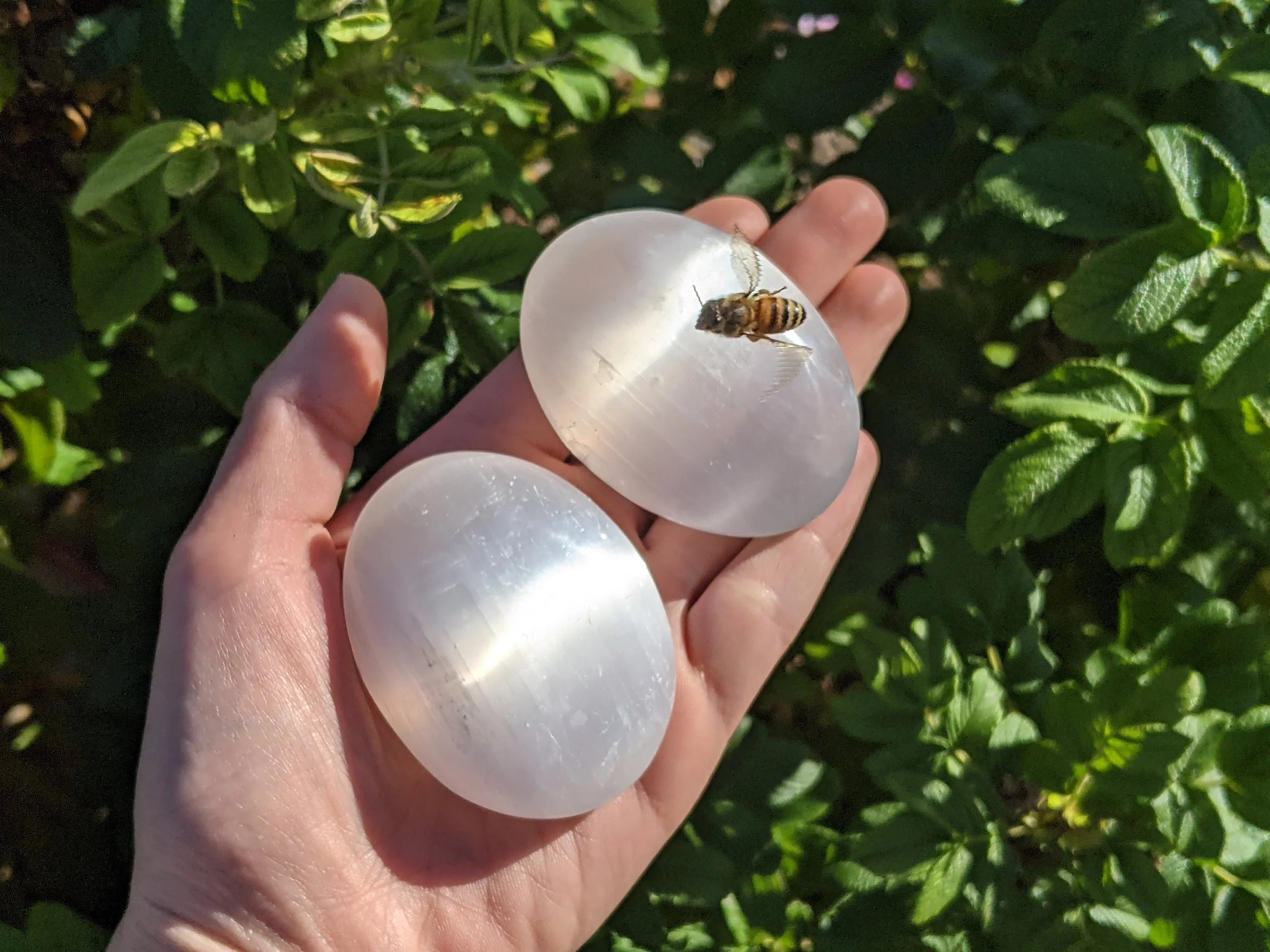 Selenite Palm Stones | | Wiccan Center