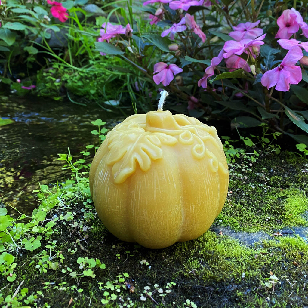 Large Pumpkin Beeswax Candle | Candles | Wiccan Center