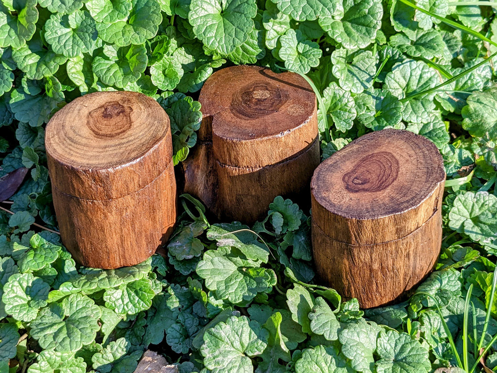 Teak Wood Tree Trunk Box | | Wiccan Center