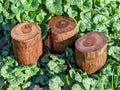 Teak Wood Tree Trunk Box | | Wiccan Center
