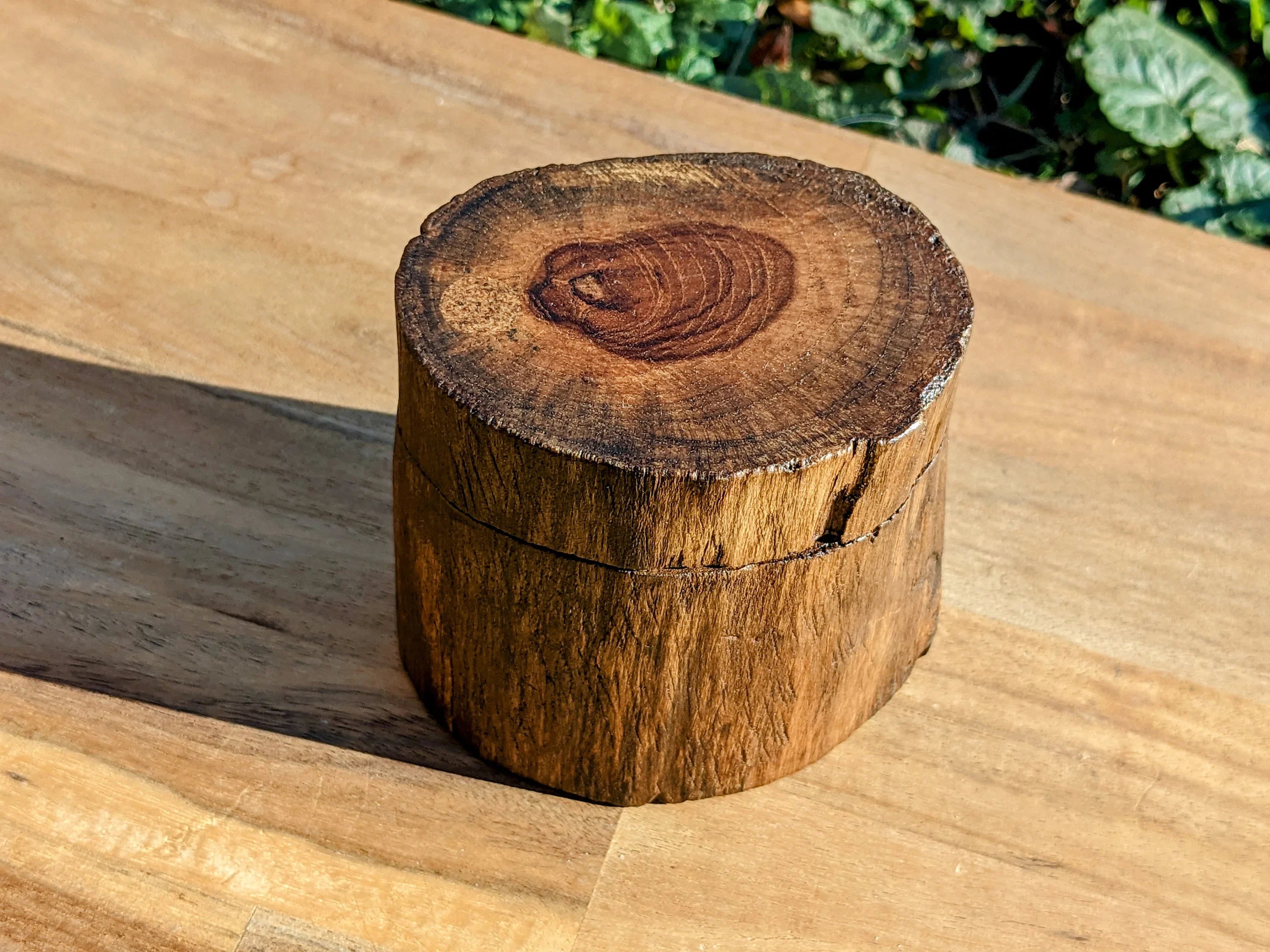 Teak Wood Tree Trunk Box | | Wiccan Center