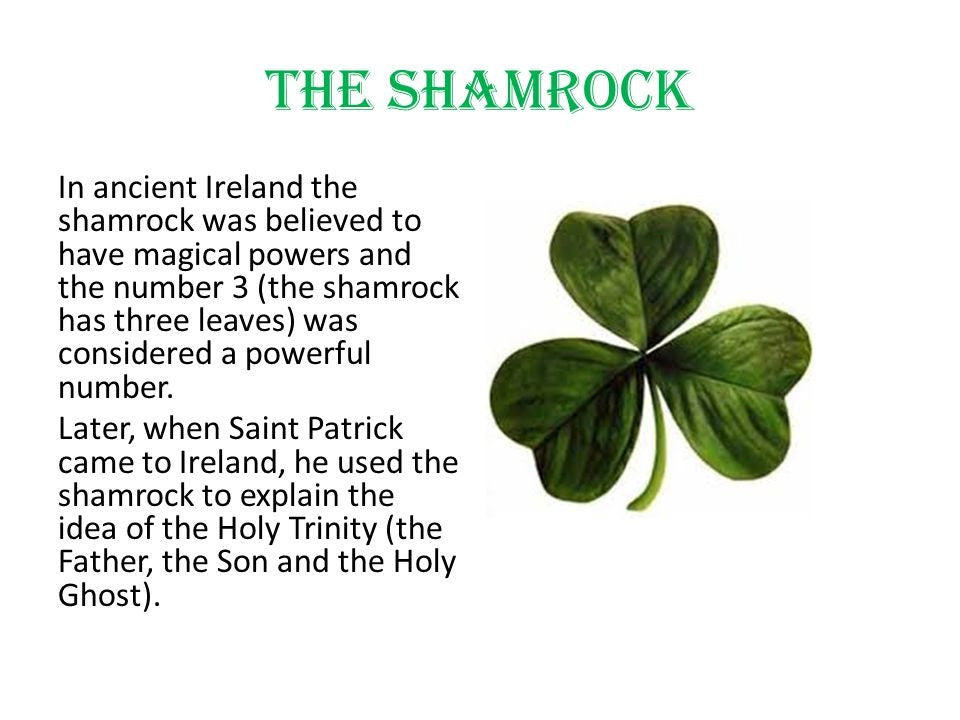 Connemara Shamrock Post Earrings for Women | Post Earrings | Wiccan Center