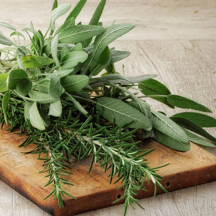 Rosemary + Sage - ROOM & LINEN SPRAY -- by Moon Water Apothecary! | | Wiccan Center