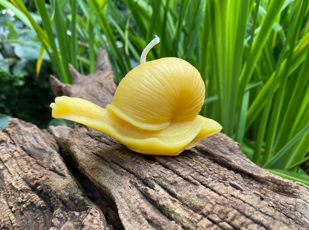 Snail Beeswax Candle | Candles | Wiccan Center