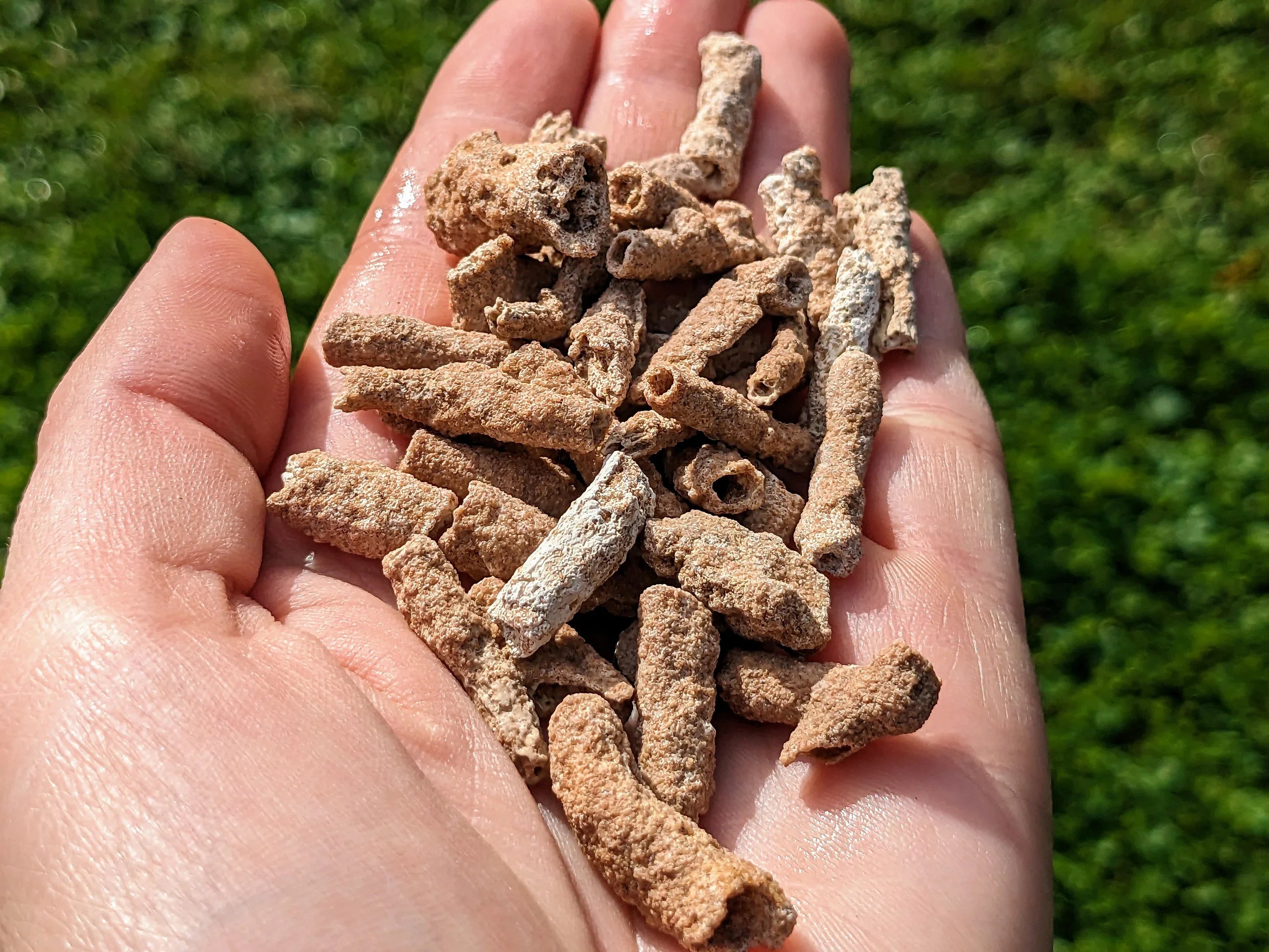 Rare Petrified Lightning - Fulgurite Specimens | | Wiccan Center